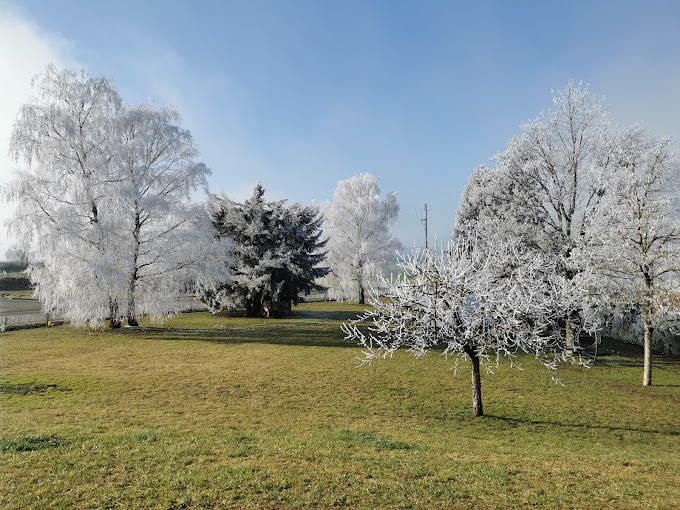 crédit d'impôt en matière de paysagisme
