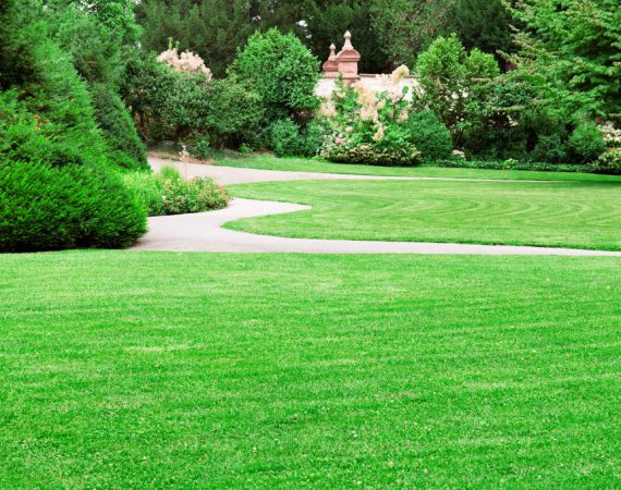 Paysagiste à Lagnieu